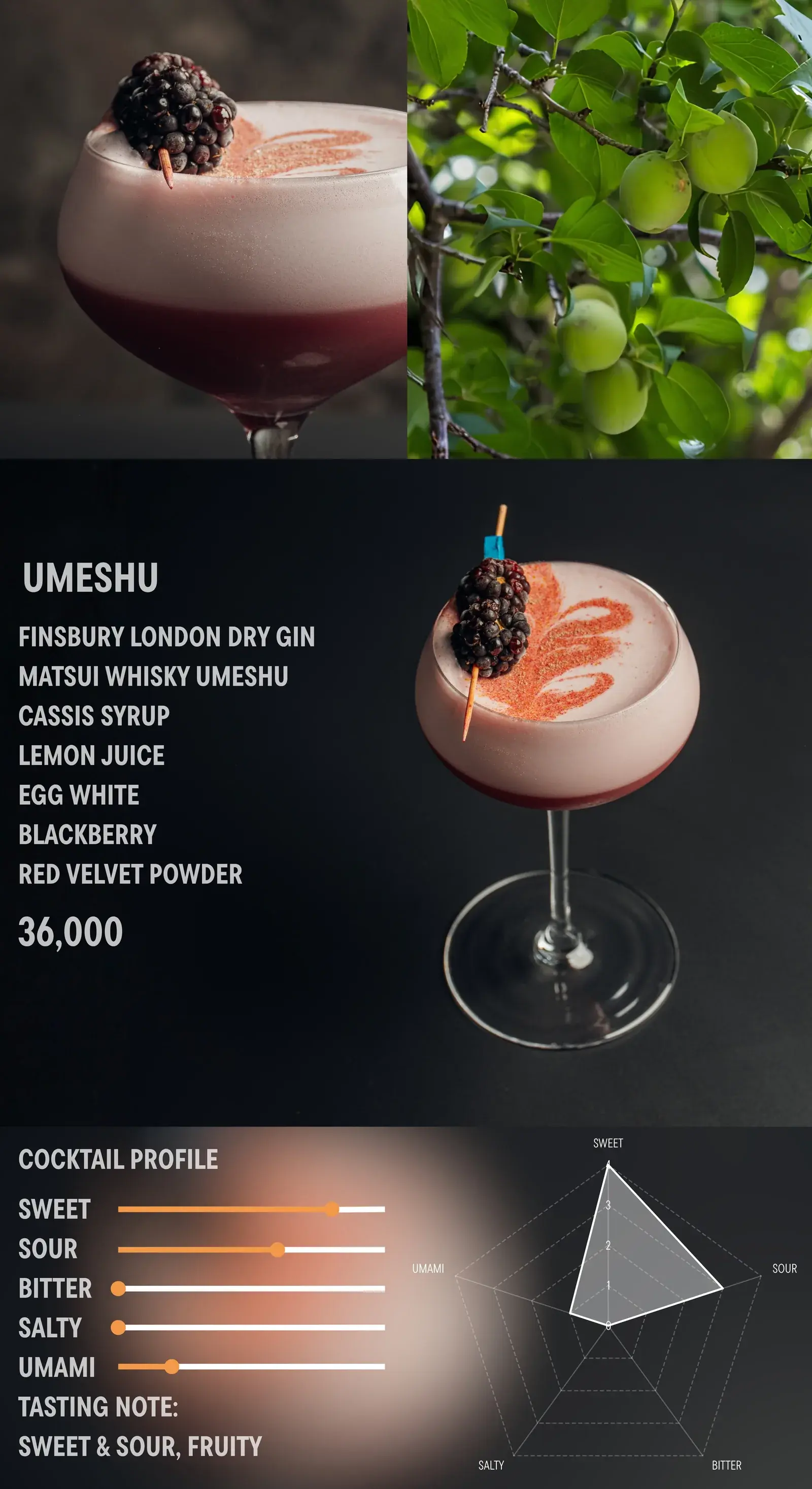 Cocktails-Signature menu, page 8